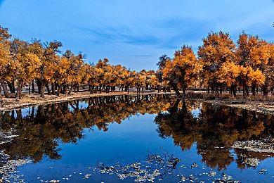《使命召唤：冷战》及《战区》第四赛季补丁说明 6月17日正式上线